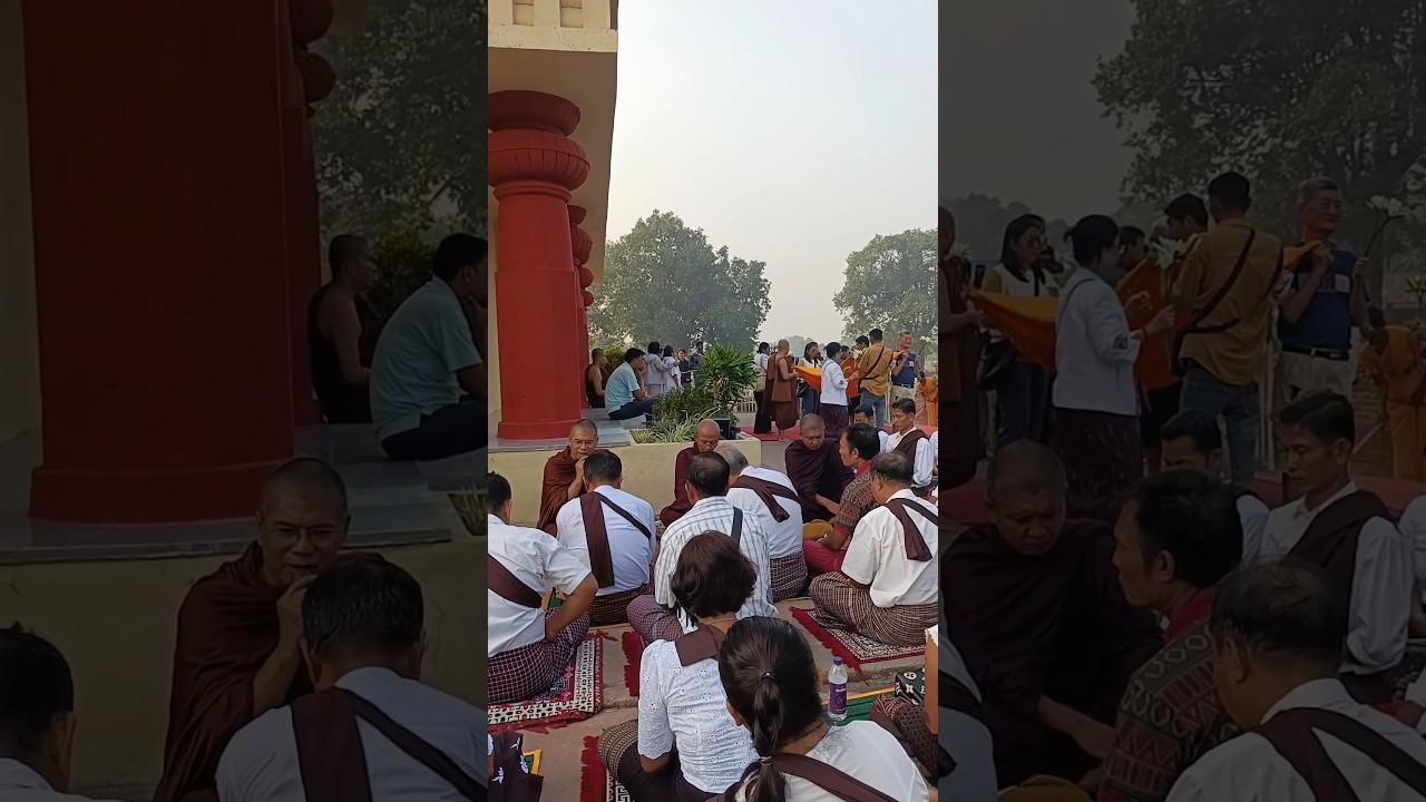 #flute #music #flutemusic #song #buddha #buddhansh #buddhasong #ringtone