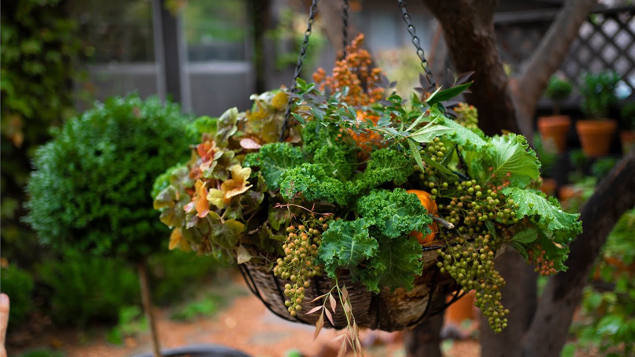 HOW TO: Planting a Fall Hanging Basket
