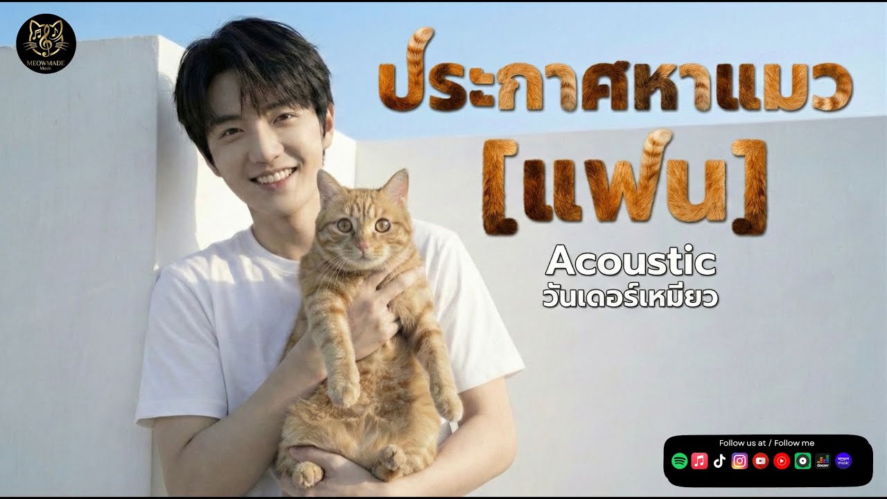 ประกาศหาแมว[OFFICIAL MV] วันเดอร์เหมียวเพลงรักฉบับทาสแมว 🐱   #อยากได้แฟนแบบคุณครับ #หาแฟนครับ🤭