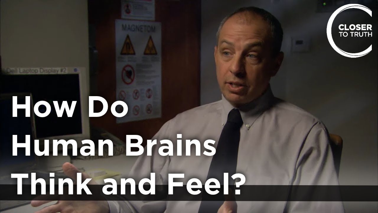 John Mazziotta - How Do Human Brains Think and Feel?