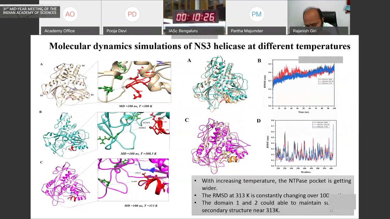 Investigating the folding of Zika Virus Proteins