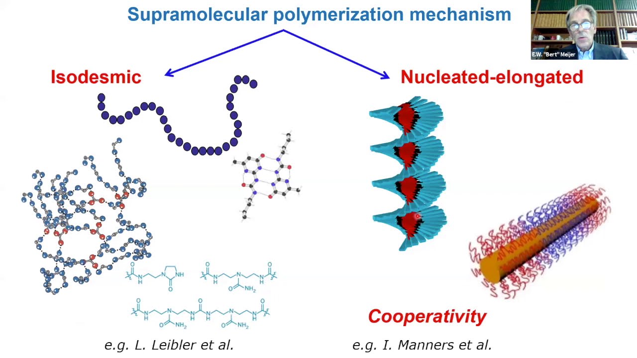 E.W. Meijer, "Functional Supramolecular Systems and Materials"