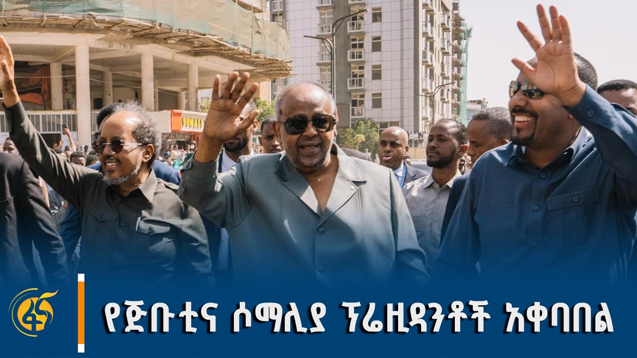 ጠቅላይ ሚኒስትር ዐቢይ አሕመድ (ዶ/ር) ለጅቡቲና ሶማሊያ ፕሬዚዳንቶች ያደረጉት አቀባበል
