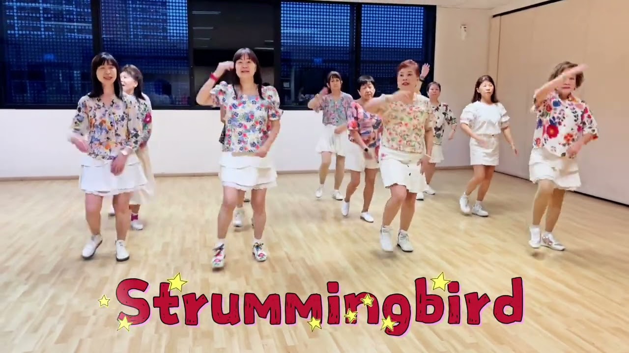 Strummingbird - Line Dance (Absolute Beginner)
