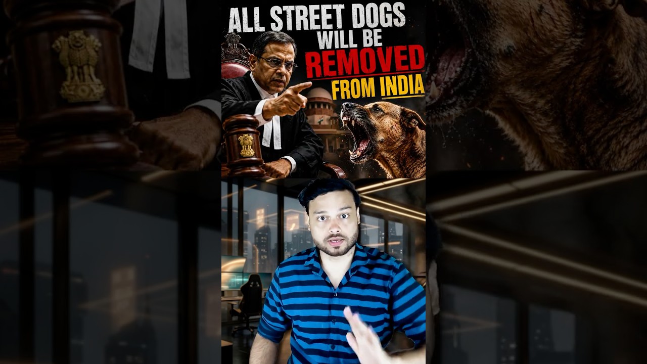 FULL War On Street Dogs By Supreme Court of India - Biggest Indian PUBLIC Reform #shorts