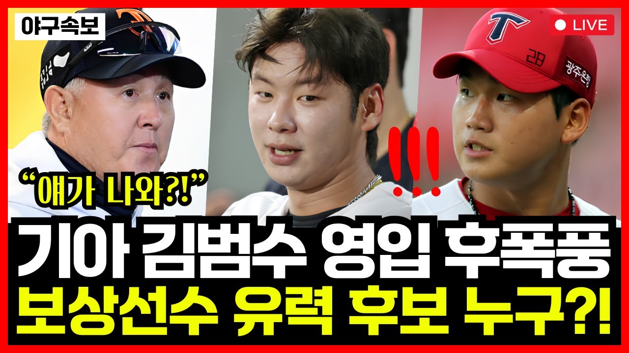 기아타이거즈 김범수 영입 후폭풍..!! 25인 외 보상선수 유력 후보 공개! 한화이글스 선택할 선수는?!