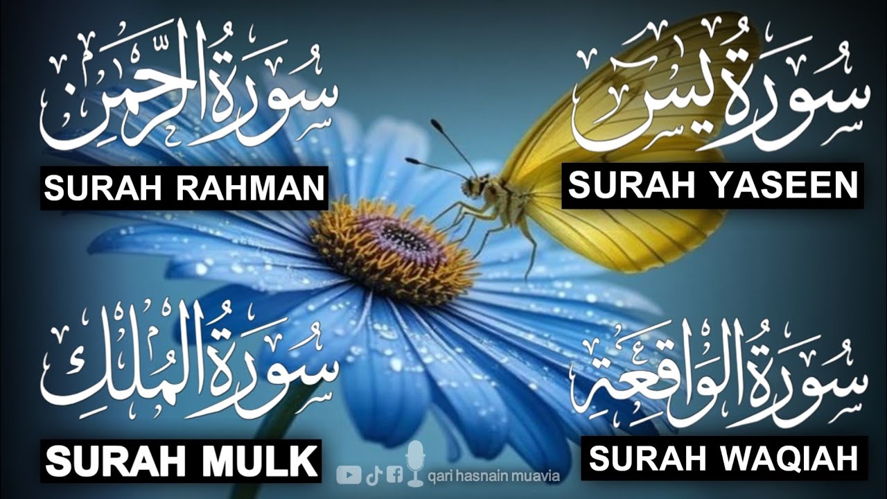 Surah Yasin ❤️ (Makki), Rahman, Waqiah & Mulk | Ep 314 | Daily Quran Recitation & Blessings