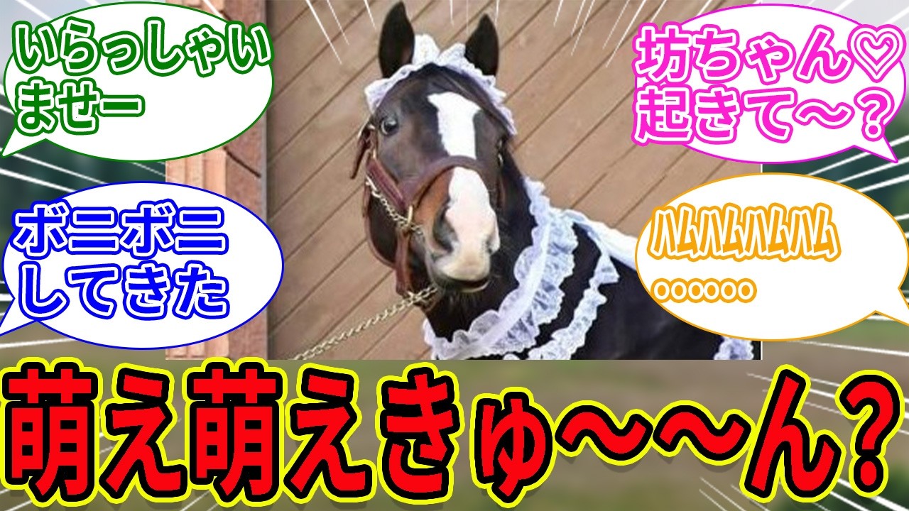 【イスラボニータ】ボニたんにフリフリのメイド服を着せてみる♥に対するみんなの反応集【競馬の反応集】