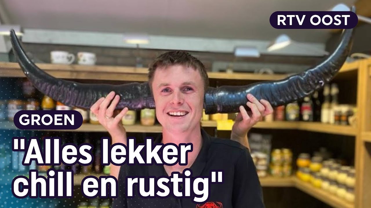 Sander (21) heeft bijna honderd waterbuffels | RTV Oost