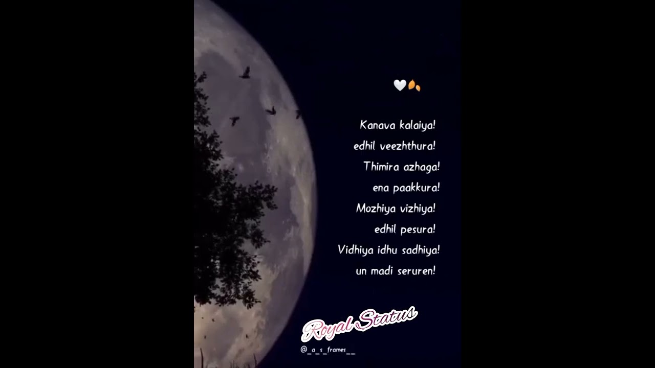 🖤#lyrics_whatsapp_status😍#in #royal_status 💖#shorts