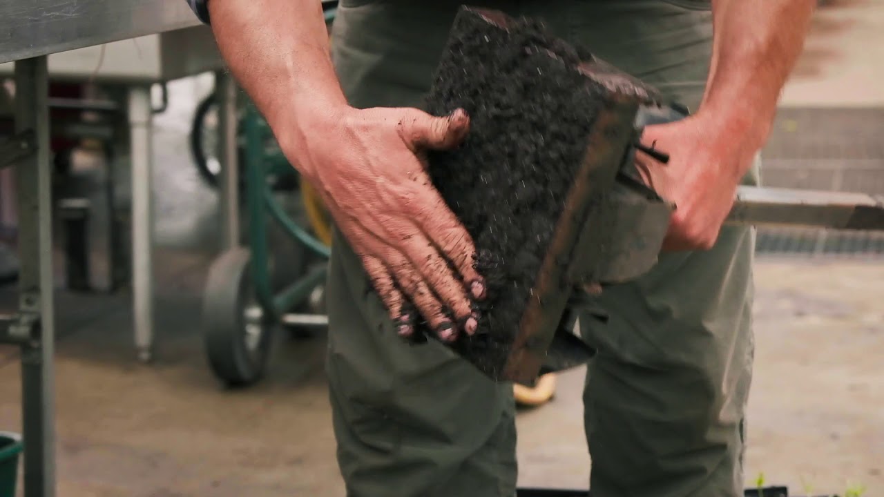 Making and Seeding Soil Blocks