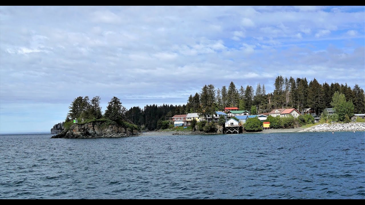Alaska Homer to Seldovia Bay Ferry Day Trip
