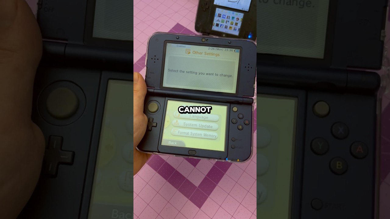 БОЛЬШАЯ разница между 3DS XL и LL