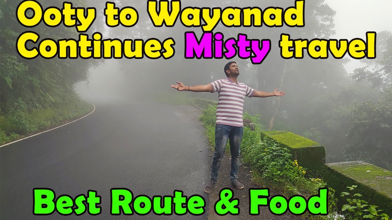 Wayanad travel Guidance & Misty Drive | Scenic Ooty & Gudalur Route | Rainy Monsoon Vibes