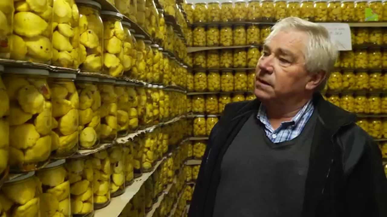 Przetwory i spółka