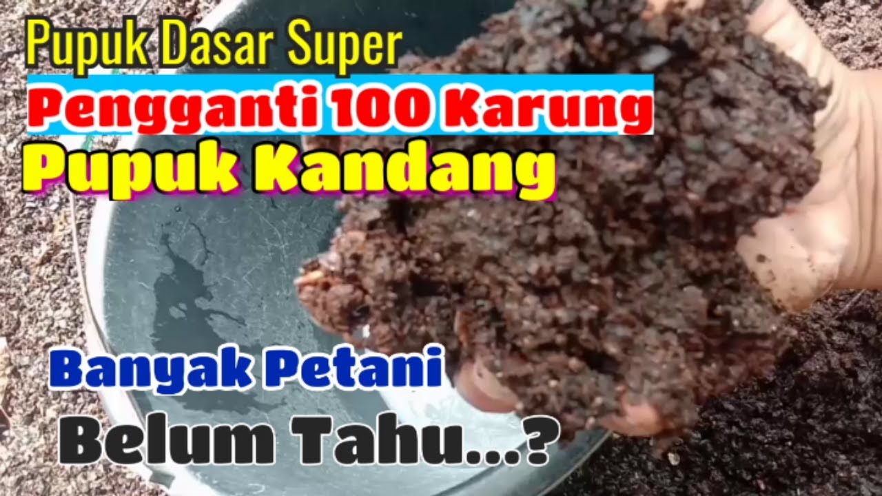 *Cara mudah buat pupuk dasar'Super " pupuk organik cair,versi jadam JMS.