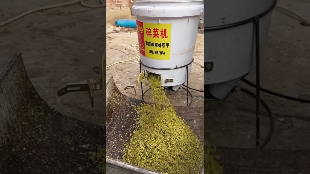 Make a Food Waste Shredder from Household Items