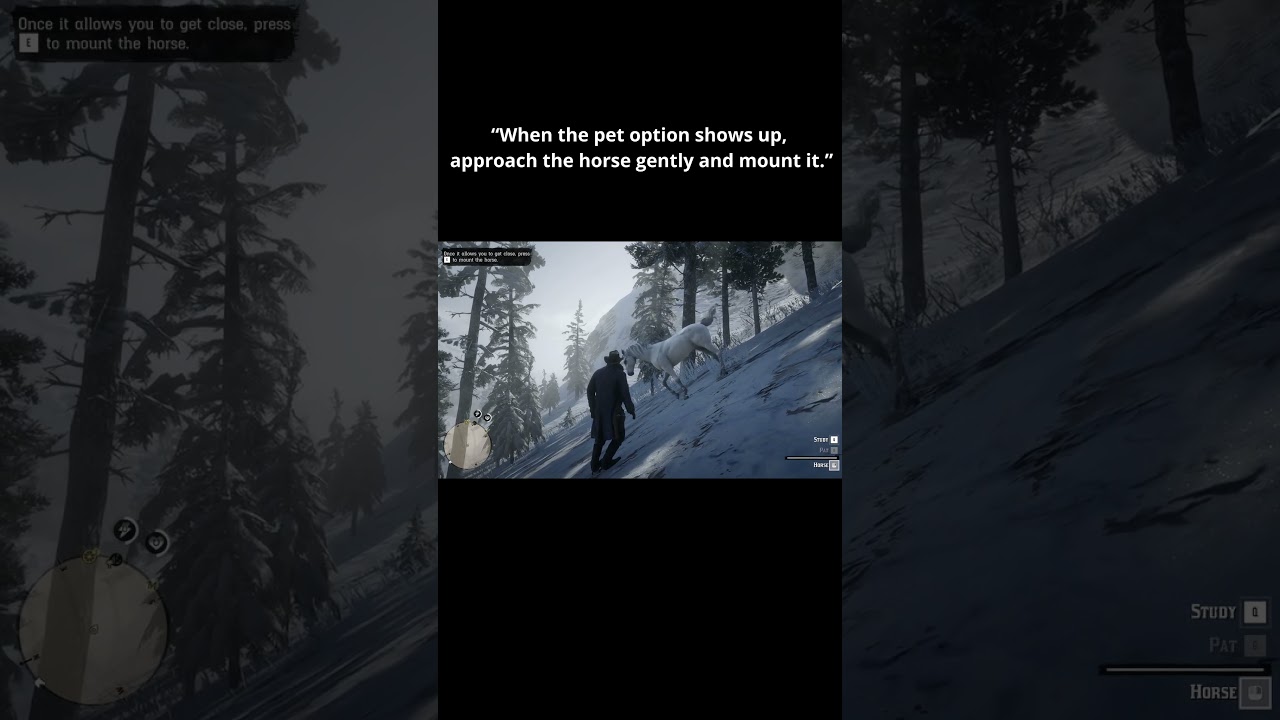 Taming the RAREST Horse in RDR2 🐎❄️