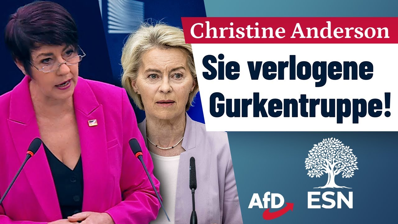 Verlogene Gurkentruppe! &ndash; Christine Anderson (AfD)