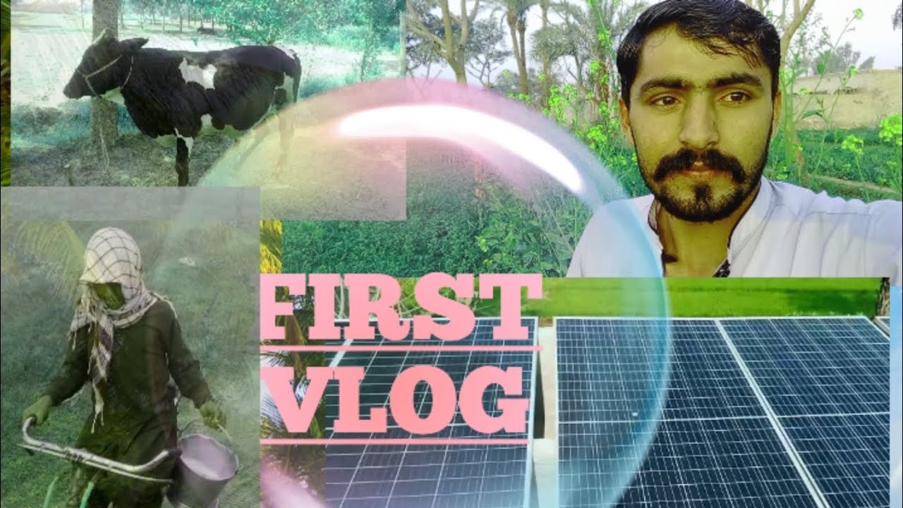 First vlog on YouTube2.6million views #tag Irfan Village Vloger #trending#trendingvideo 