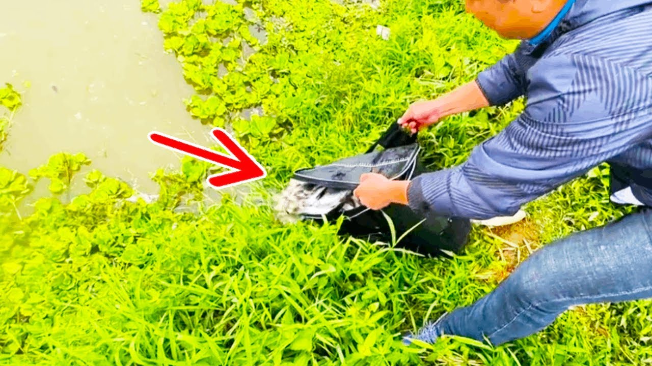 钓不到鱼我就放鱼，今天不小心又当了河冠，必须要把鱼钓上来！【野釣長空】#钓鱼