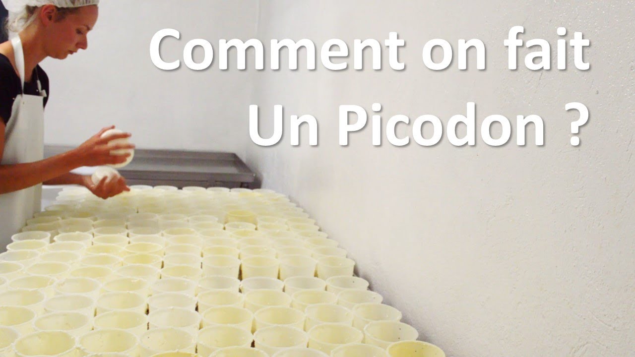 La transformation du lait en fromage : comment on fait ?
