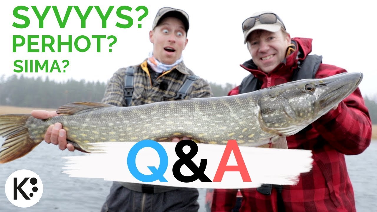 Hauen perhokalastus Q&A - kysyitte, me vastaamme