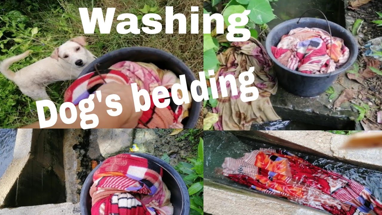 washing dog's bedding cover.