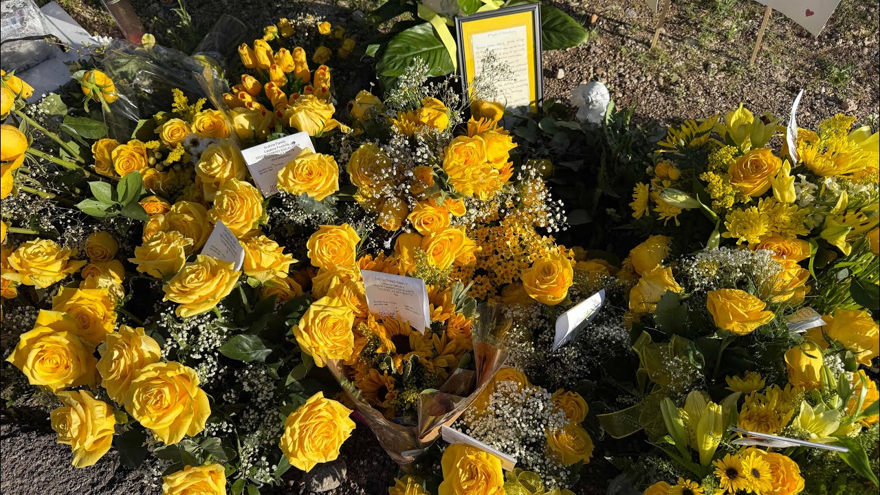 Nancy Guthrie - My Search - Future