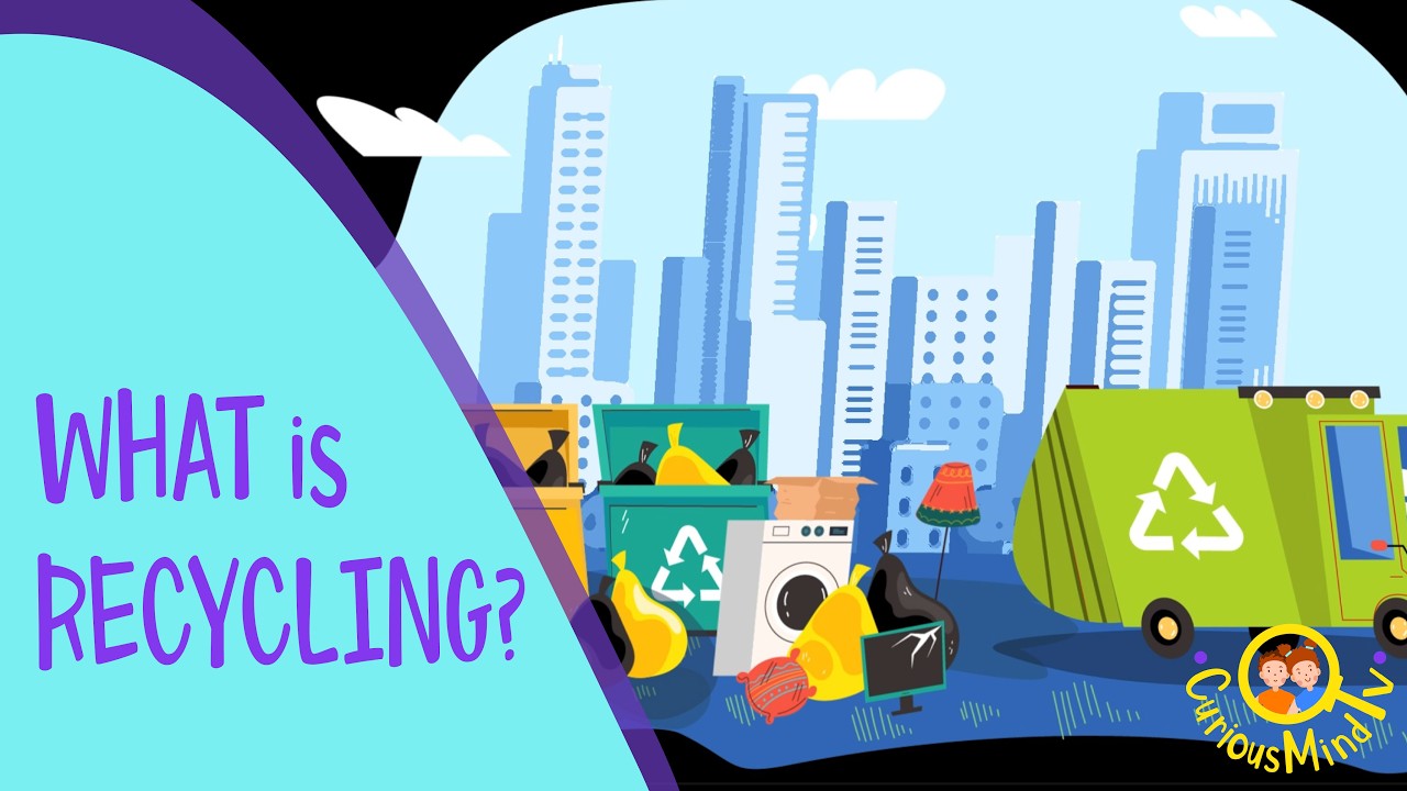 What Happens to Our Waste? ♻️Recycling Explained | Ecology for Kids
