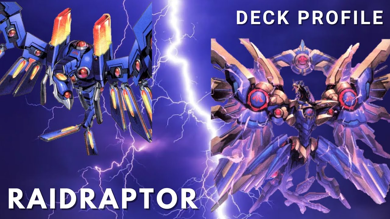 Raidraptor #2 Deck Profile + Combo + Deck Cost | YuGiOh! | Februar 2024 |Phantom Nightmare|NEW CARDS
