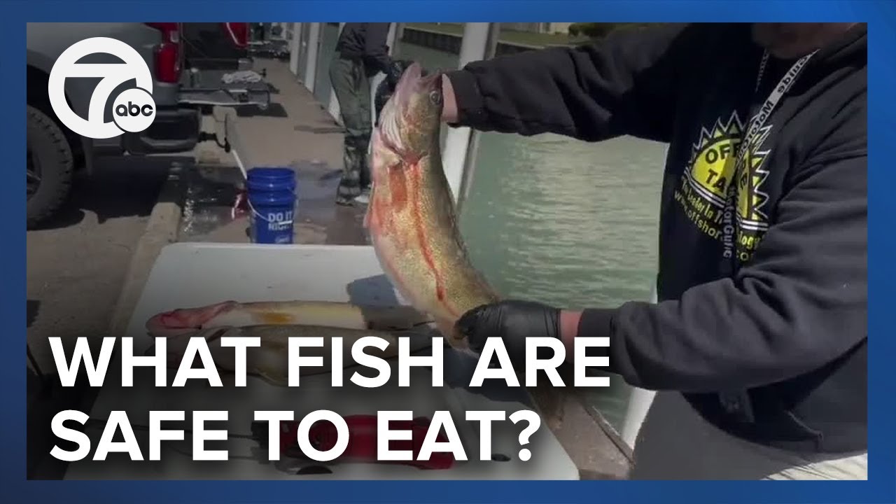 Fish consumption guidelines updated amid PFAS concerns