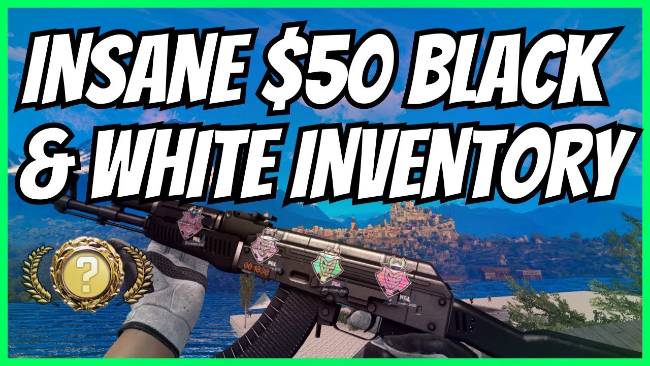 FULL BLACK & WHITE CS:GO INVENTORY FOR $50! The Best Cheap Black and White CSGO Skins 2023!