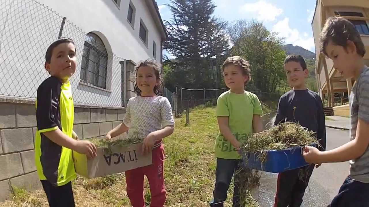 NO TE CORTES, RECICLA  ( C.P. ÁLVARO FLÓREZ ESTRADA )