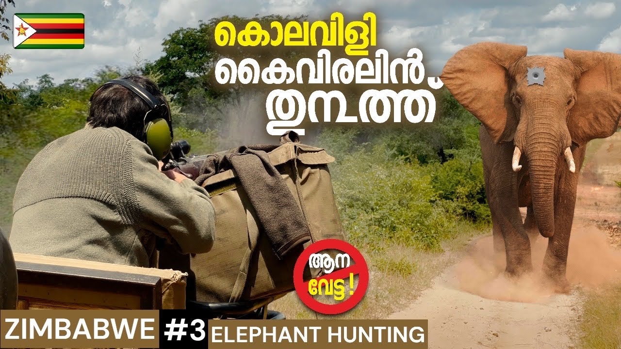EP#3 ആന വന്നാൽ അപ്പൊ അടിക്കും 🇿🇼 അരികൊമ്പനായാലും ചക്ക കൊമ്പനായാലും ELEPHANT HUNTING