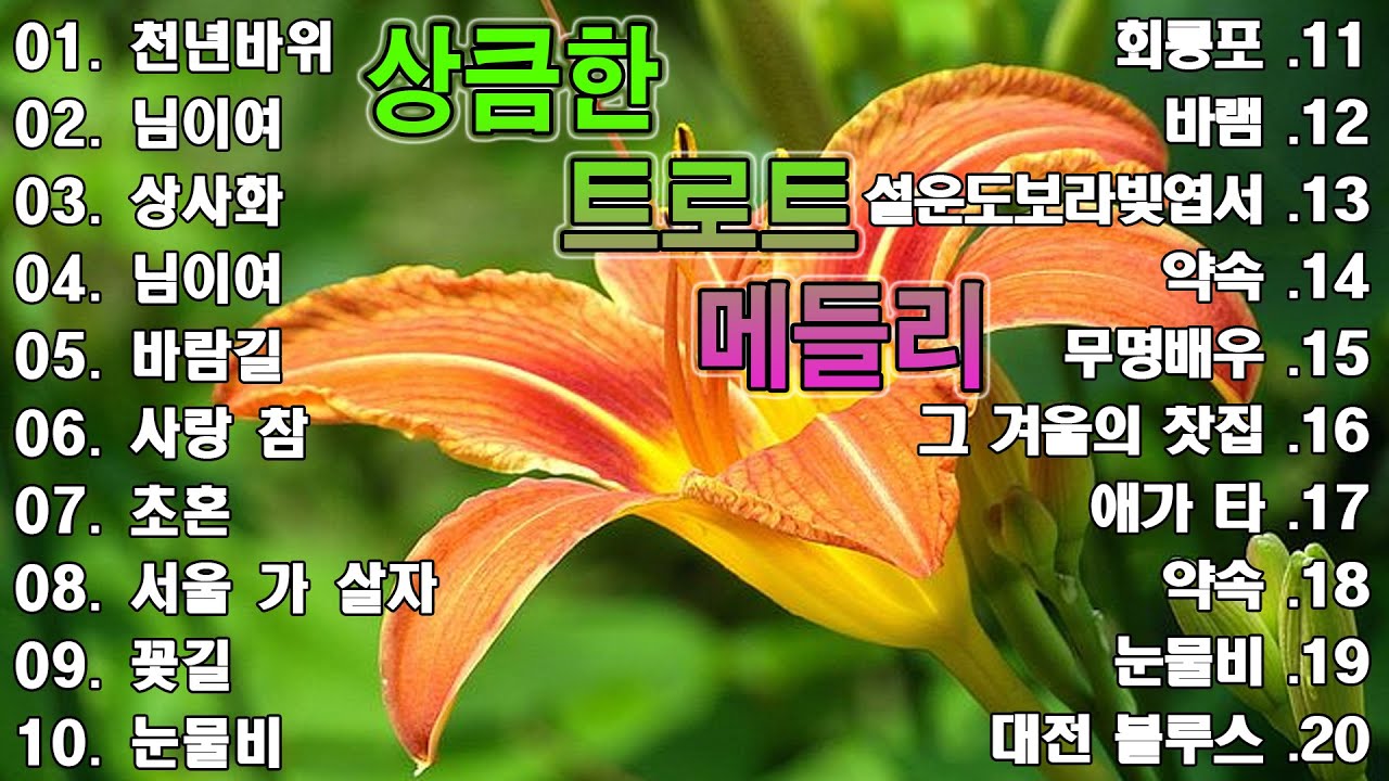 상큼한 트로트 메들리 | 트로트 신곡 메들리 PLAYLIST