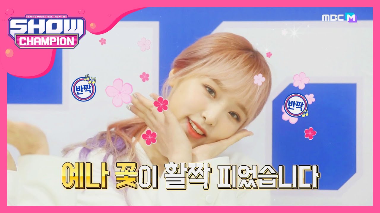 [Show Champion] 꽃+꽃=아이즈원♡ 오늘의 엔딩 요정은? l EP.344
