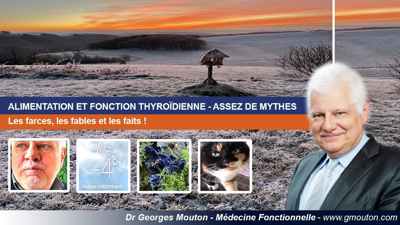 ALIMENTATION ET FONCTION THYRO&Iuml;DIENNE - ASSEZ DE MYTHES