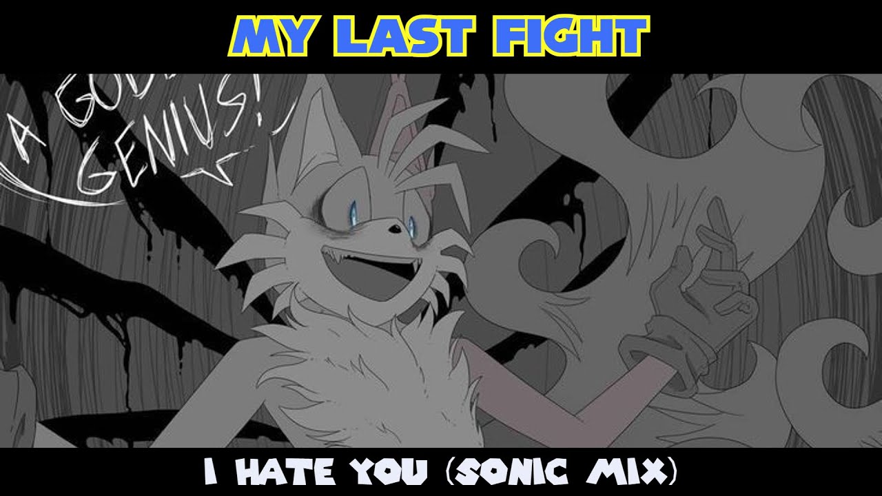 MY LAST FIGHT|| I HATE YOU (Sonic Mix)|| WWMH