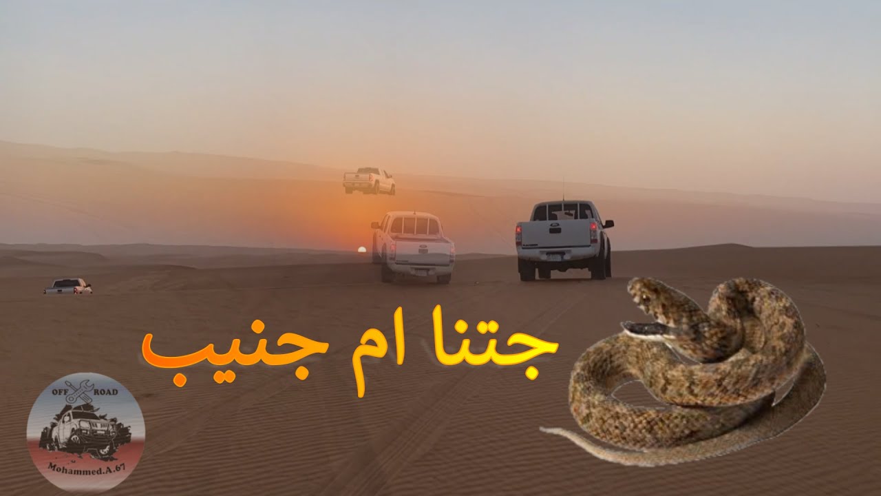بداية الموسم 