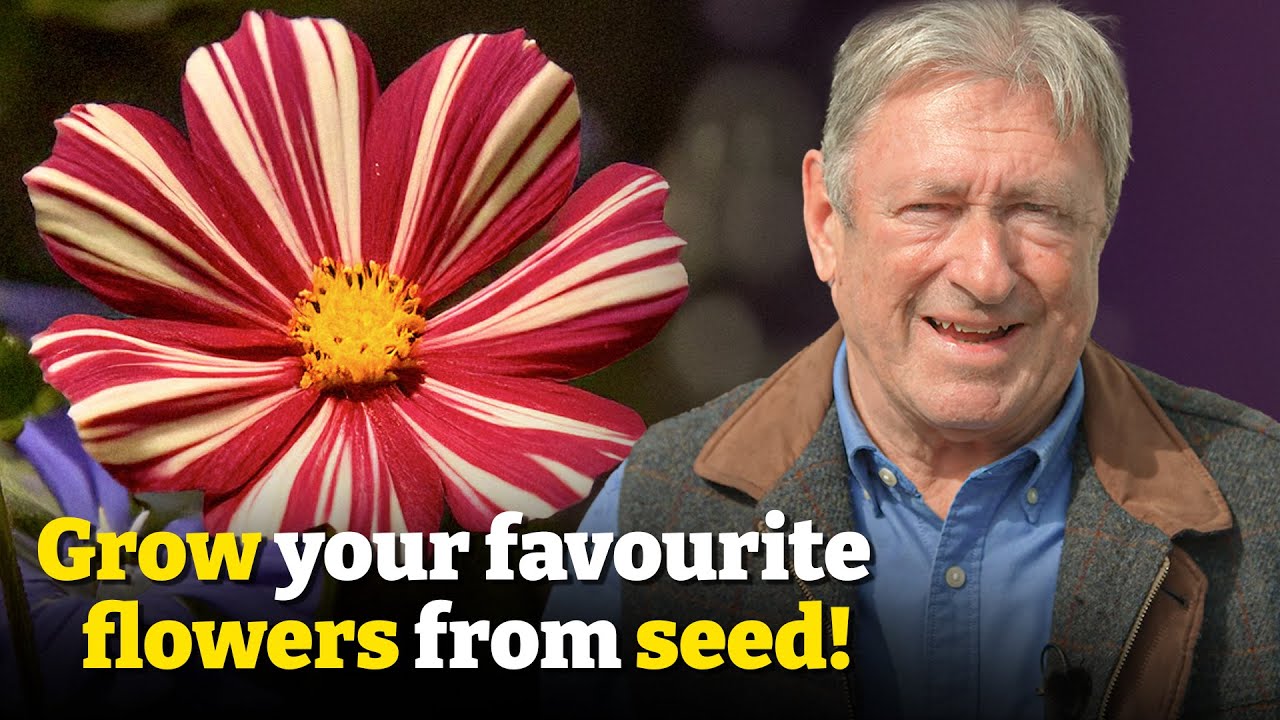 Turn Seeds Into Stunning Blooms – My Step-by-Step Guide!