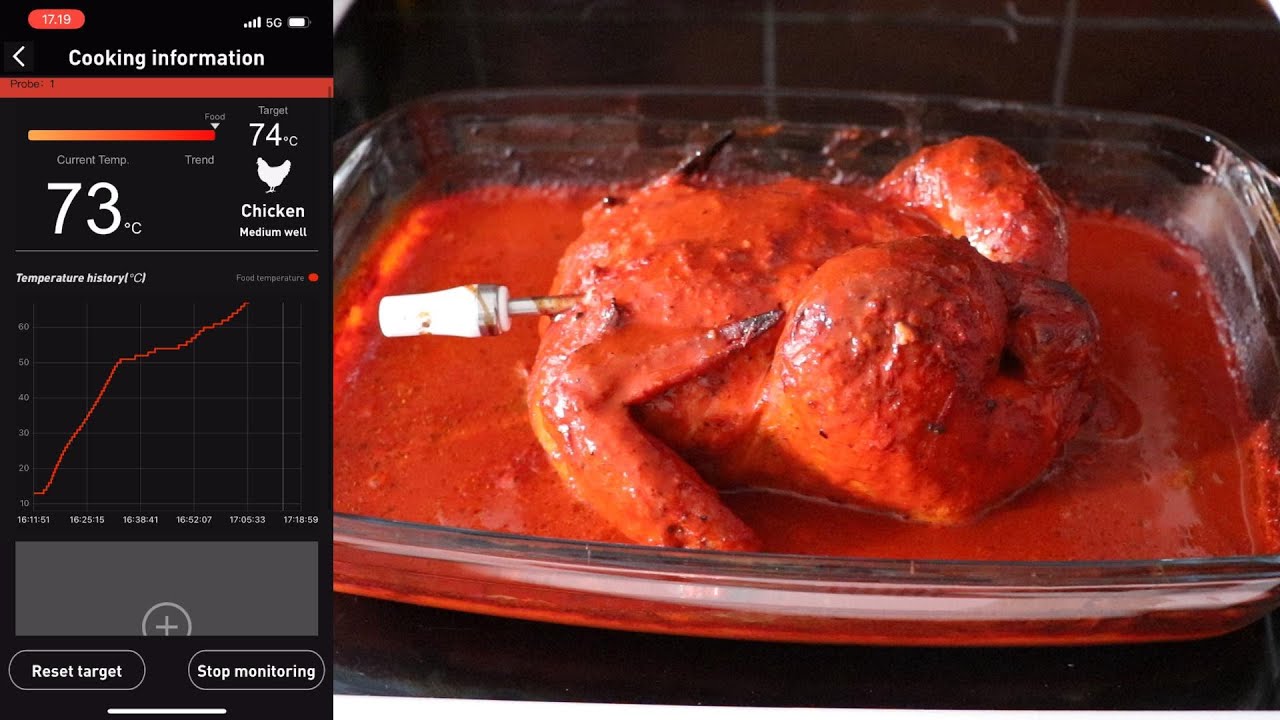 Pibil Chicken Testing Armeator Smart Wireless Thermometer