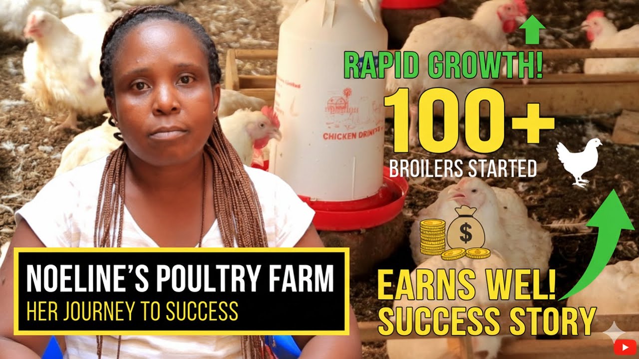HOW SHE EARNS WELL | Starting a Poultry Farm with Only 100 Broilers