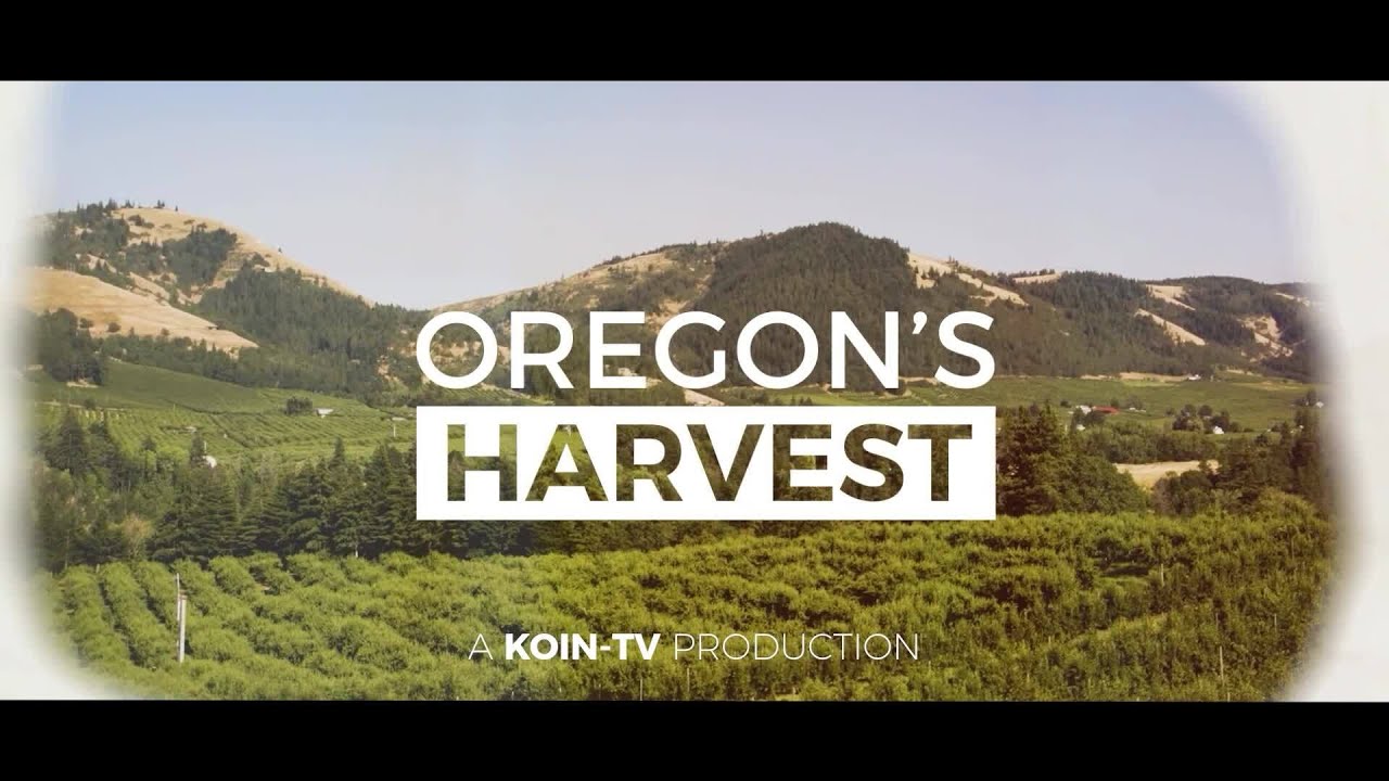 Oregon's Harvest 2024