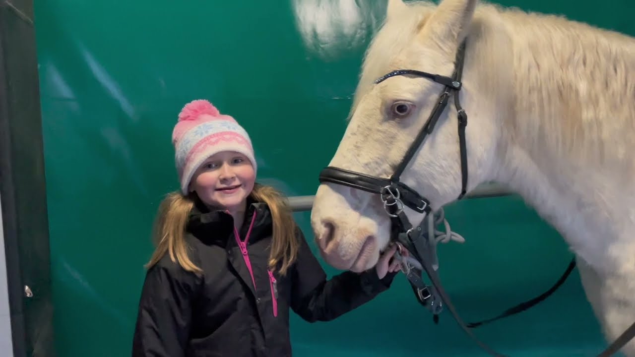 Ein neues Pferd im Stall🐴🦄