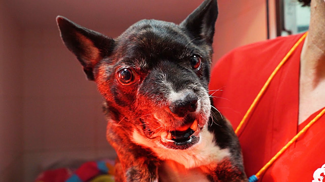 Claus looks much better now… see what we did for him!