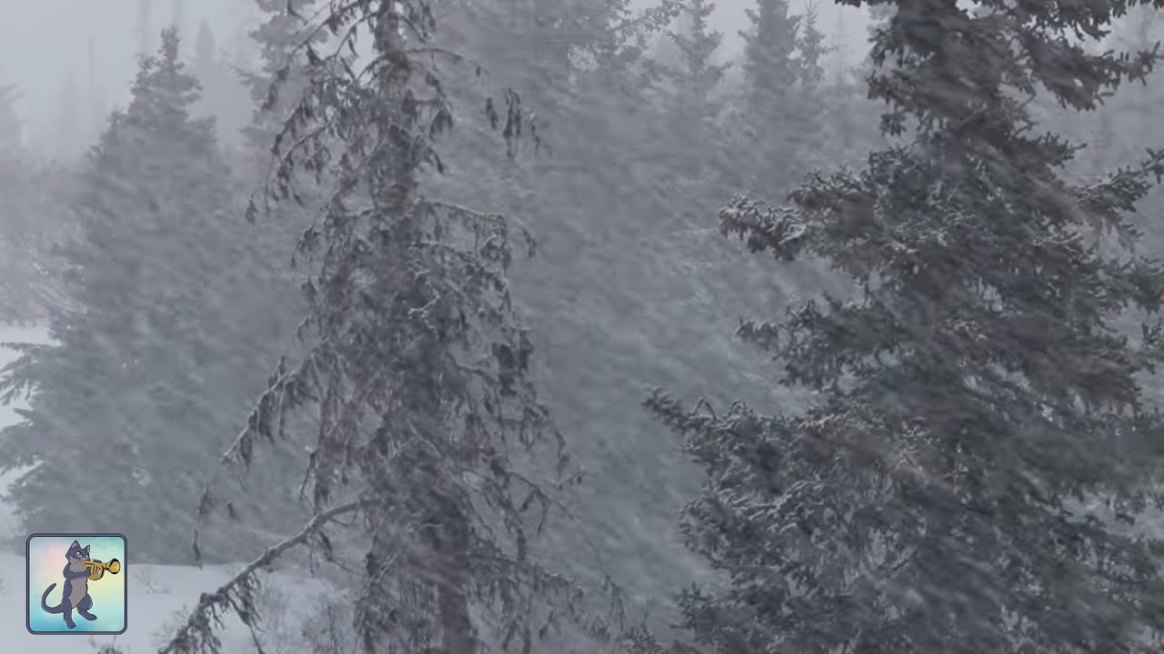 Relaxing Snowfall ~ Heavy Falling Snow & The Best Relax Music