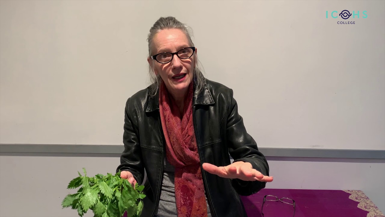 Medical Herbalist and Clinical Nutritionist explains the benefits of stinging nettle.