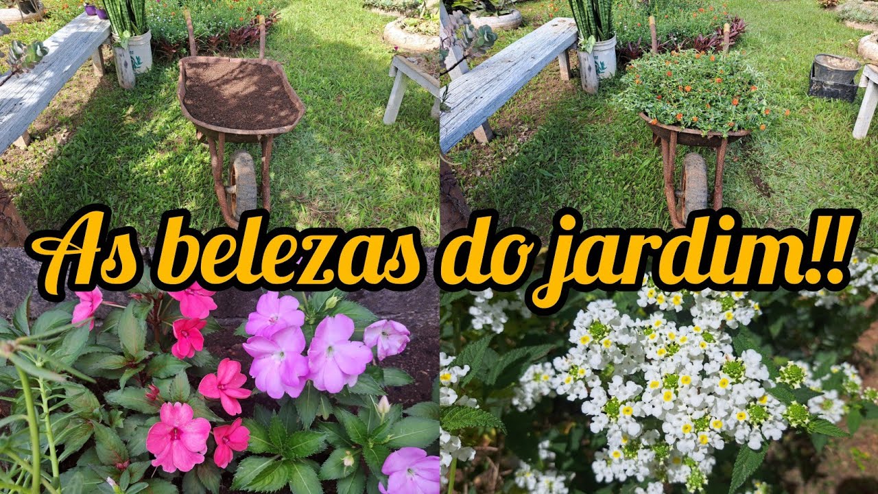 O JARDIM ESTA PRESISANDO DE REPAROS/FIZ ARRANJO NO CARRINHO VELHO