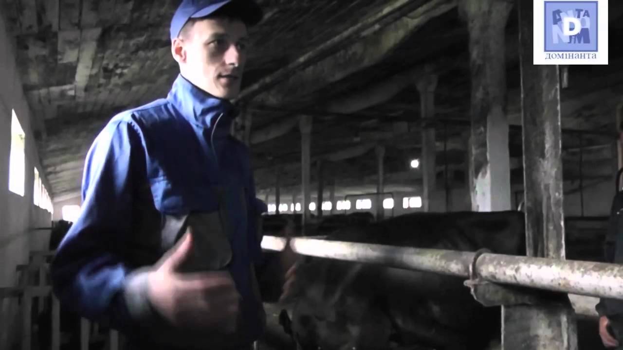 Лікування кетозу